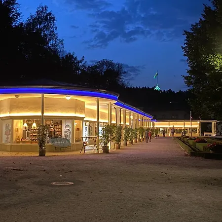 Roland Ranft Direkt Am Kurpark Barrierearm 60qm Apartment Bad Elster