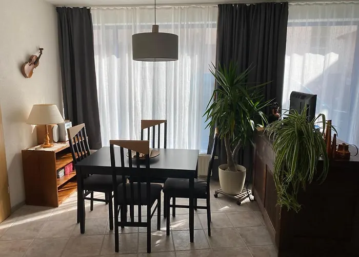 Apartment Roland Ranft Direkt Am Kurpark Barrierearm 60qm Bad Elster