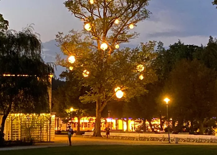 Roland Ranft Direkt Am Kurpark Barrierearm 60qm Apartment